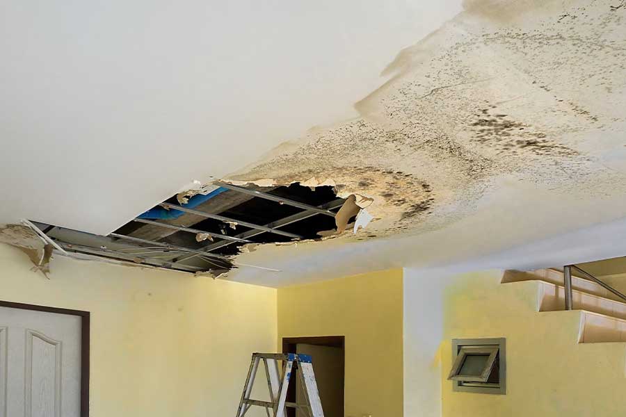 Ceiling with water damage